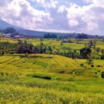 Bali autentic Trip Village view and activities on farmer