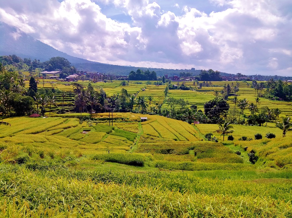 Bali autentic Trip Village view and activities on farmer