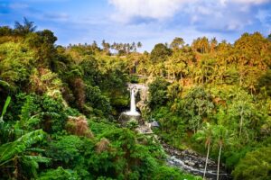 Bali waterfall with valley views