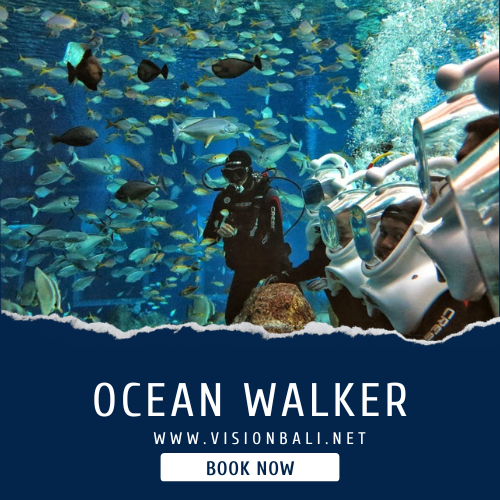 Bali Ocean Walker