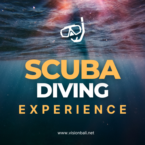 Scuba Diving Experience - Bali