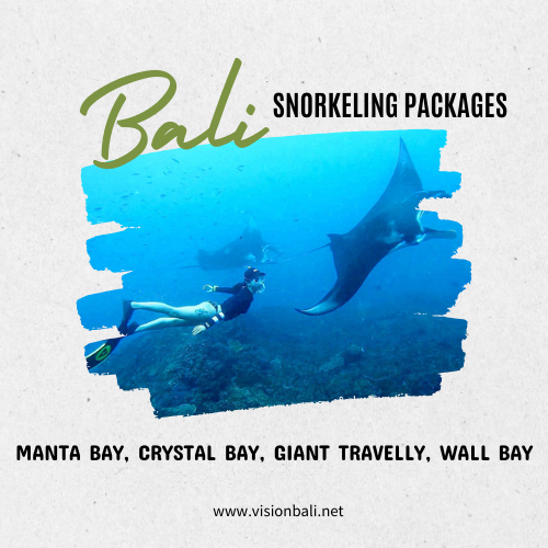 Bali Snorkeling Packages